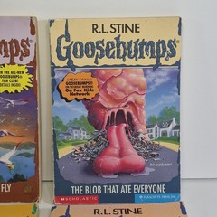 Goosebumps Lot of 4 – R.L. Stine – Paperback – Scholastic
