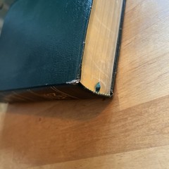 1985 NIV Study Bible Forest Green Bonded Leather Indexed Zondervan Red Letter