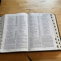 1985 NIV Study Bible Forest Green Bonded Leather Indexed Zondervan Red Letter