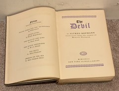 THE DEVIL VINTAGE 1928 OCCULT RELIGION BOOK BY ALFRED NEUMANN
