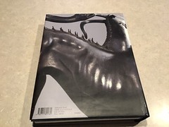 Les Etrusques E T L’Eroupe 1992 Book