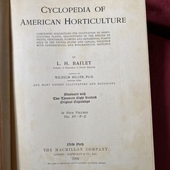 1904 Cyclopedia Of American Horticultural 700 Original Engravings Volume 3 N-Q