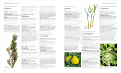 Encyclopedia of Herbal Medicine New Edition: 560 Herbs and Remedies for Common A