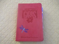 God’s Word for Girls (Pink Faux Leather Bound) (God’s Word Translation)