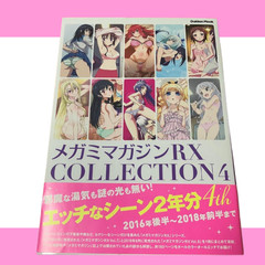 Megami Magazine RX COLLECTION Vol.4 Japanese Anime Art Book Mook Used Excellent