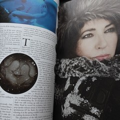 KATE BUSH RARE 2023 MOJO mag Kate Bush Essential COLLECTORS SERIES 130 pages