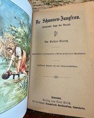 1910s Antique German Fairy Tale Book Die Schwanen Jungfrau by Gustav Nieritz VG
