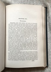 Antique, Principles Of Surgery, Nicholas Senn, 1891, 1st. Ed., Illustrated