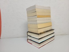 Lot of 11 Paperback & Hardcover Books by Kristin Hannah