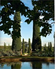 PROVENCE GLORY ~ NEW ASSOULINE HARDCOVER ~ PROFUSELY ILLUSTRATED – AWESOME!