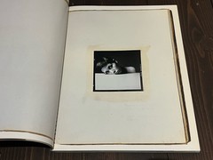 RARE 1991 1ST EDITION NOBUYOSHI ARAKI JEANNE JAPANESE JAPAN PHOTO BOOK