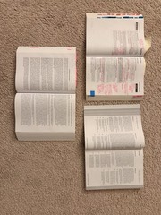 Barbri July 2024-2025 UBE Bar Prep Books Bundle (Conviser, MPQ, MEE Testing)