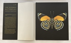 One Hundred Butterflies Hardcover Book by Harold Feinstein Dust Cover Color Pics
