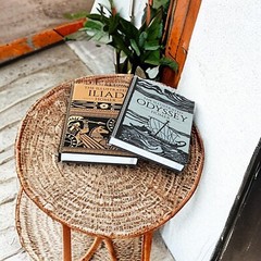 2-Book Set: THE ILLUSTRATED ILIAD & ODYSSEY by Homer Hardcover Deluxe Classics