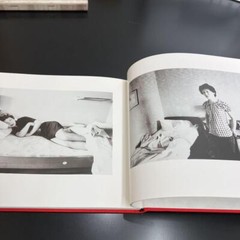 Photo Book Sentimental Journey Winter 1991 Nobuyoshi Araki Japanese Used