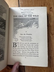 THE CALL OF THE WILD Jack London Antique 1906 Macmillan Illustrated Decorative