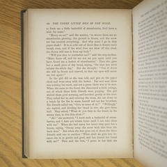 1895 BROTHERS GRIMM FAIRY TALES DRAGONS ELF WITCH OCCULT MYTH MAGIC ANTIQUE BOOK