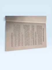 The Descendant Hardcover Linda Stasi