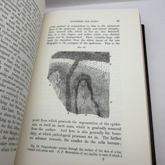 Cellular Pathology by Rudolph Virchow The Classics of Medicine Library