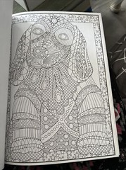 Cra-Z-art Timeless Creations Coloring Book, Wild at Heart, 64 pages