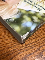 Invitation to the Life Span by Kathleen Stassen Berger Paperback