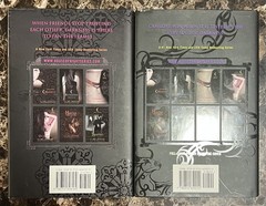 P.C. Cast + Kristin Cast Lot of 2: Burned and Destined (HCDJ, House of Night)