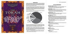 Genuine Leather LARGE PRINT HALLELUYAH SCRIPTURES Bible + Free Books