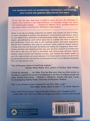 Full Catastrophe Living Jon Kabat-Zinn Preface Thich Nhat Hanh Paperback