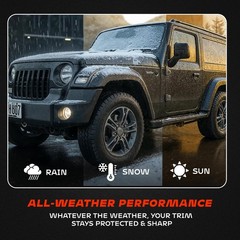 BLAZON Black Trim Restorer 8 oz – Dye-Infused Solution for Car Trim