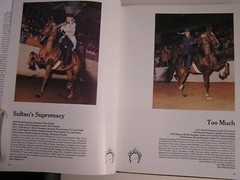 Equestrian WHO’S WHO IN AMERICAN SADDLEBREDS 1976 – 1983 equine history