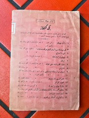 1924 Ottoman Turkish Book Gustave Le Bon Le Déséquilibre du Monde Looped Pages