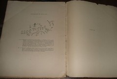 1902 The Thompson Indians of British Columbia Illustrated James Teit, Franz Boas
