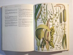 The Concise British Flora in Colour Keble Martin, 1st Edition 1965 HC