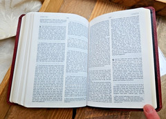 RSV Catholic Edition Bible Oxblood/Black Basket Weave Bonded Leather Oxford
