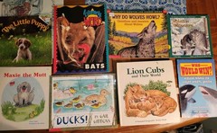 Fun Mixed Lot of Animal Children’s Books Lions Pop Up, Dogs, Bats, Wolves, Ducks