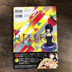 J-5104 Rurihime Wani Magazine Comics Manga How To Draw Character Design 2012 Pub
