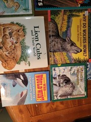 Fun Mixed Lot of Animal Children’s Books Lions Pop Up, Dogs, Bats, Wolves, Ducks