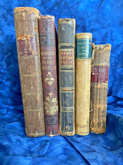 Tiny Antique Books; Miscellany, Plant World, Spectator, Columbian Orator #B46