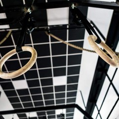 Topyond Wood Gymnastic Rings with Adjustable Straps, Olympic 25mm for…