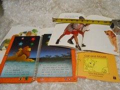 Lot 4 different Children’s books Real Kids Readers level 1 The Market, Lion King