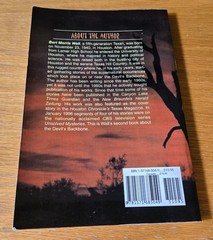Ghostly Chills: The Devil’s Backbone 2 by Bert M. Wall (2001, Trade Softcover)