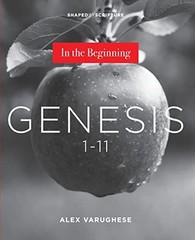 Genesis 1-11: In the Beginning – VERY GOOD