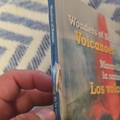 Dana Meachen Rau Los Volcanes/Volcanoes (Eng/Spa) 2009 Library Binding, 32pg