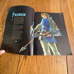 The Legend of Zelda: Breath of the Wild Complete Official Guide Paperback