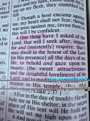 The Amplified Bible Giant Print Lockman Foundation AMP Bible SEE DETAILS