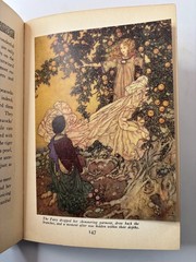 Edmund Dulac illus. Stories from Hans Andersen ca.1910s, lovely illustrations