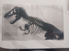 Jurassic Park 1st Printing and Gift Edition, both signed Crichton