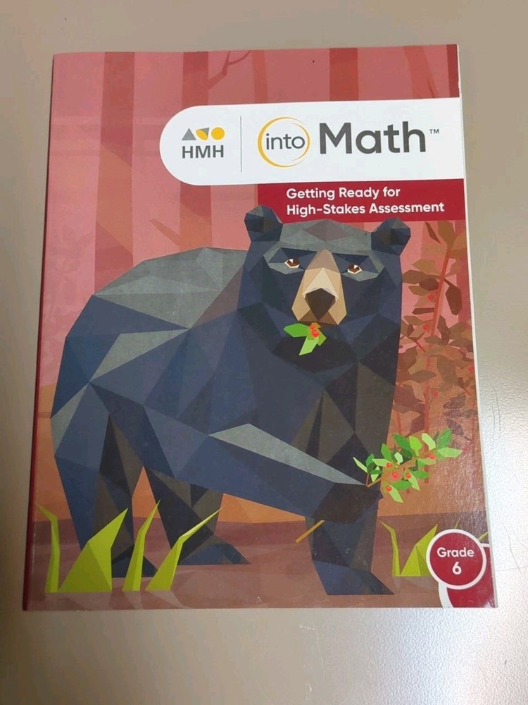 Into Math Ser.: Into Math : Getting Ready for High Stakes Assessment Grade 6 by