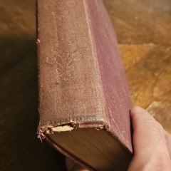 A Mere Woman By Vera Nikto HC Book 1913 Appleton