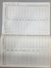 Vintage Agriculture Farm Ledger Carlyle Systems – T.H Erickson Strum Flour&Feed